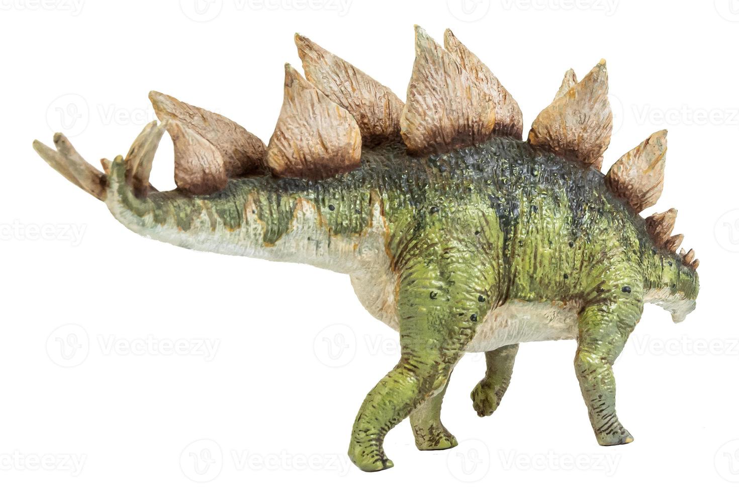 dinosaure stegosaurus sur fond isolé. photo