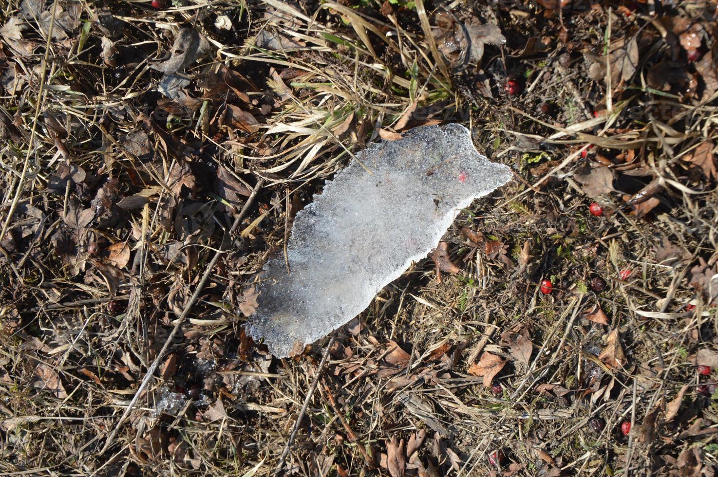 un morceau de glace gelée se trouve sur l'herbe photo