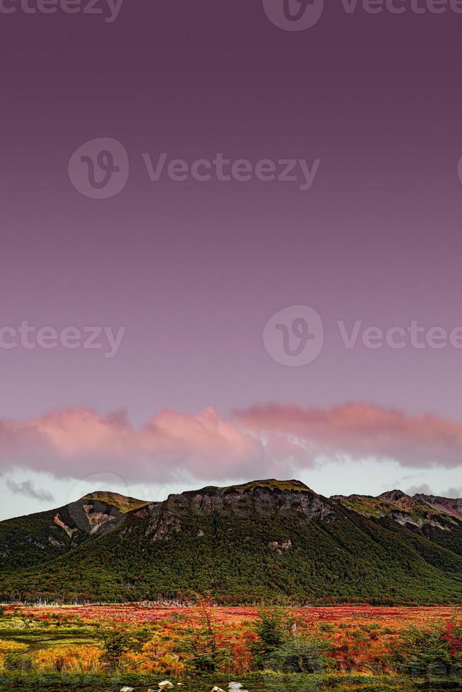 page de couverture avec une forêt de conte de fées colorée et magique au parc national de la terre de feu en patagonie, argentine, automne doré, vue panoramique. photo