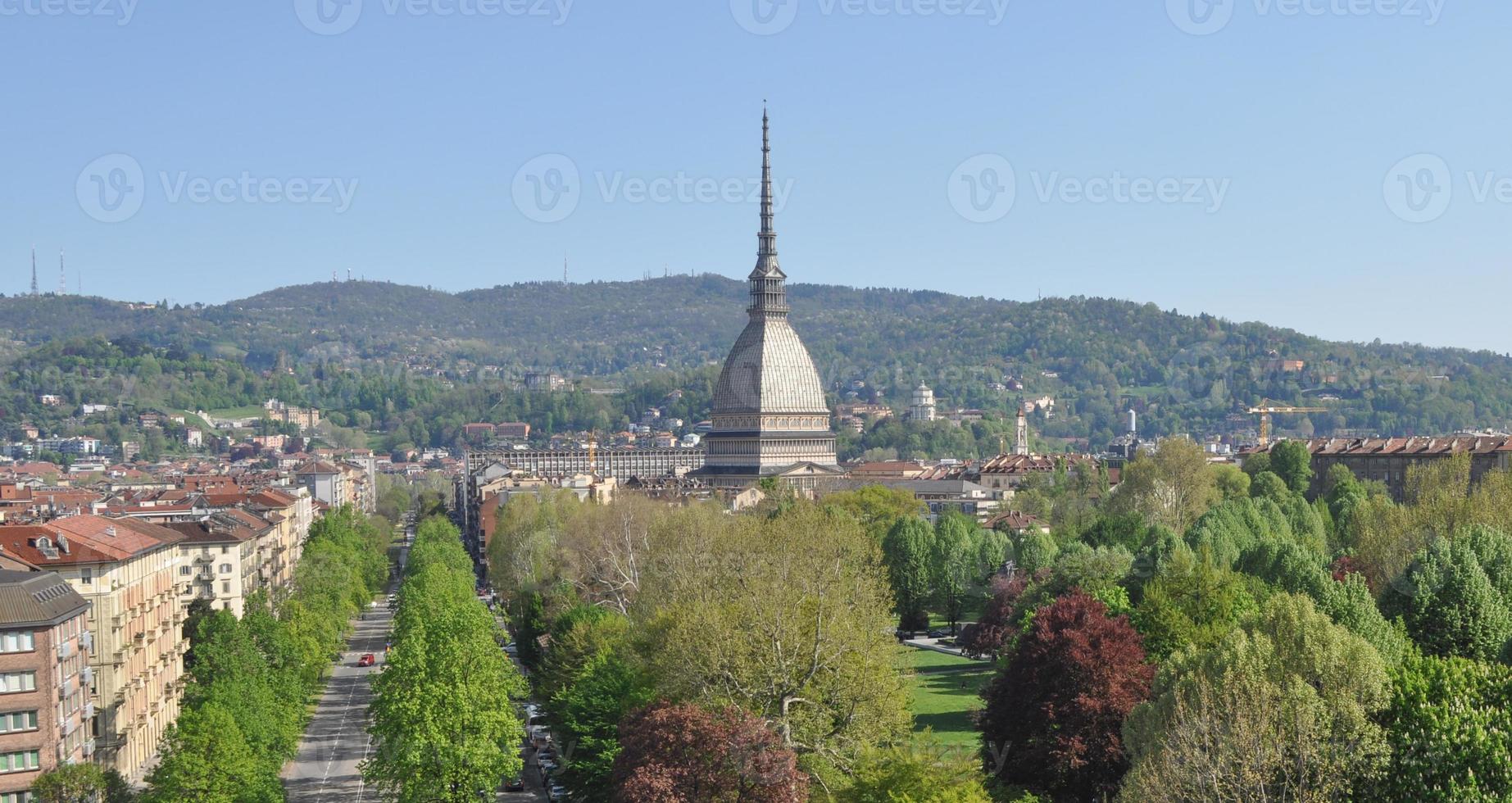 taupe antonelliana turin photo