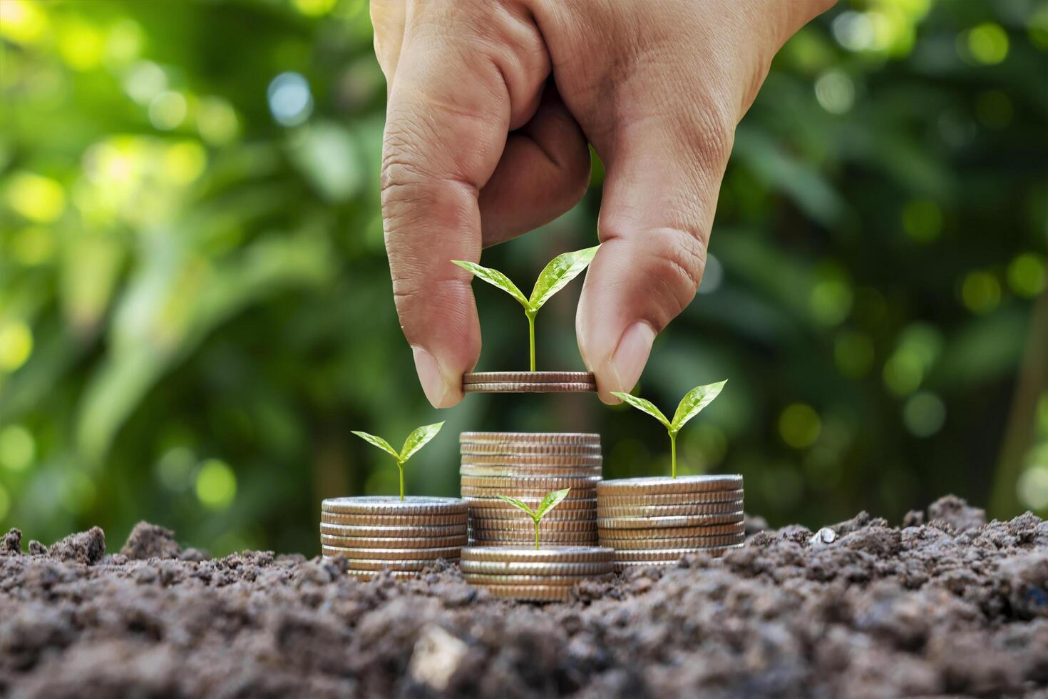 planter un arbre sur un tas d'argent et homme d'affaires, homme