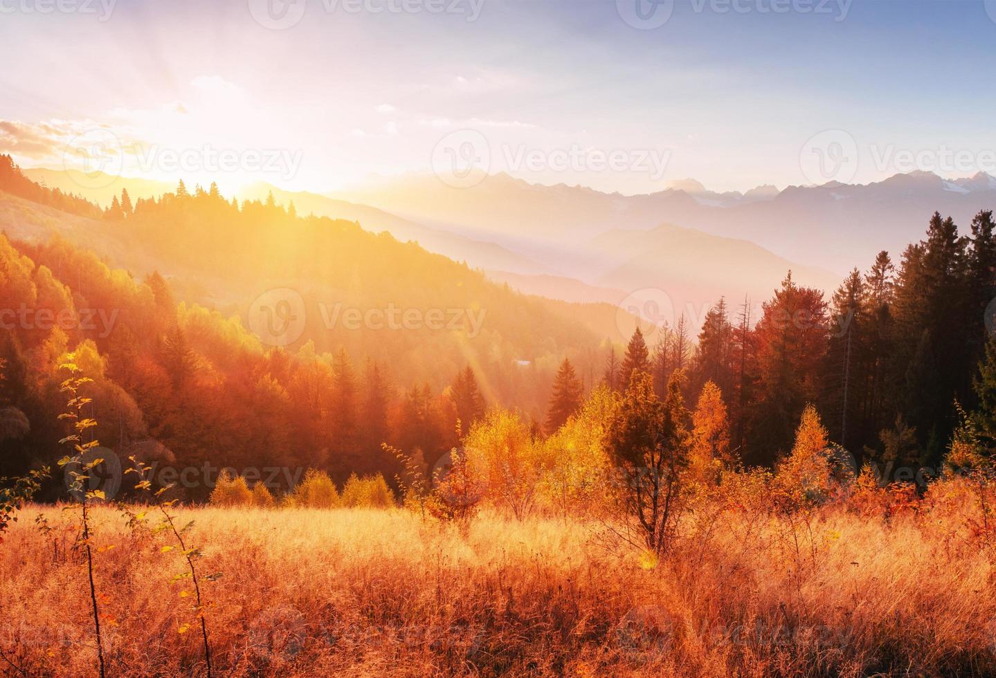 chaîne de montagnes dans les carpates en automne. photo