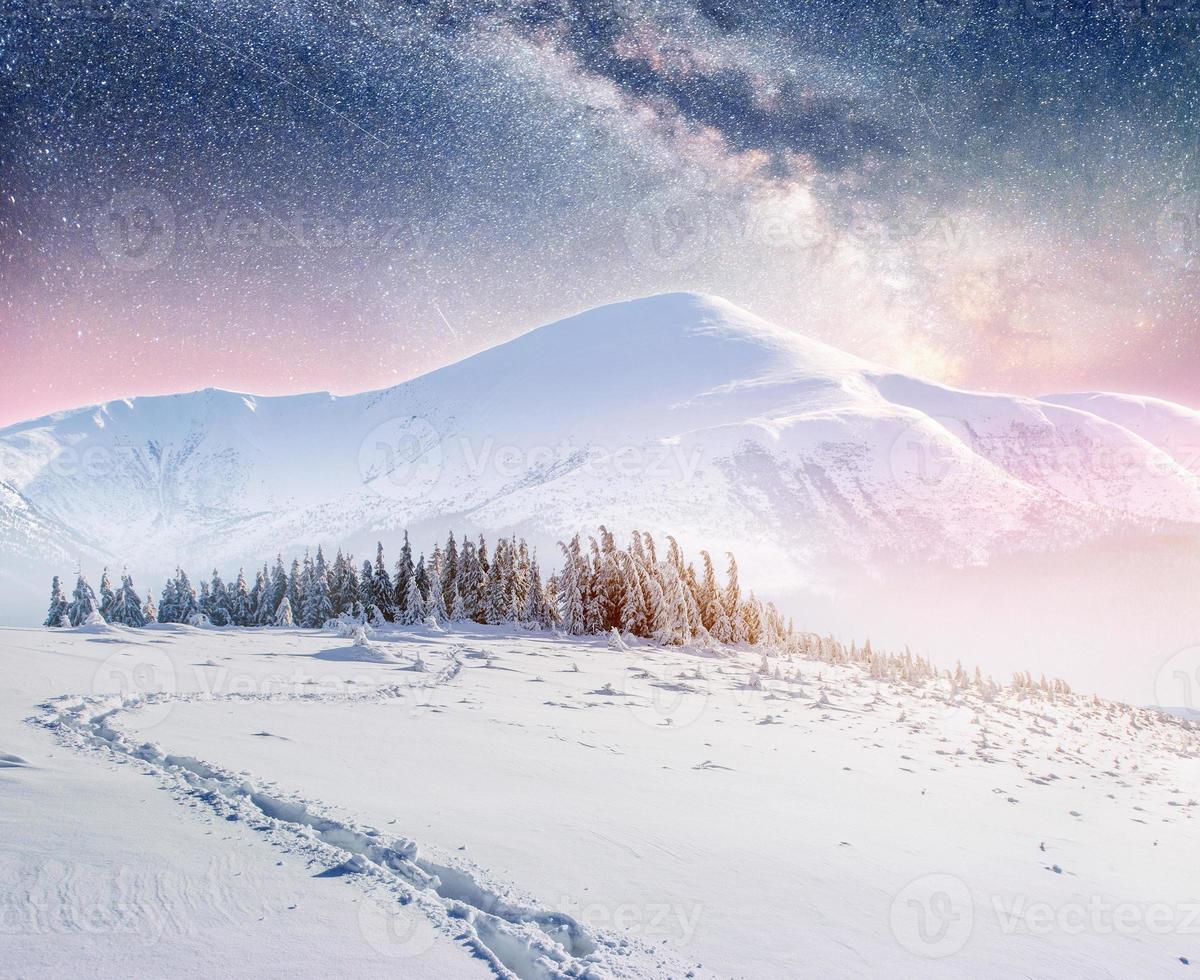 ciel étoilé dans la nuit enneigée d'hiver. fantastique voie lactée photo