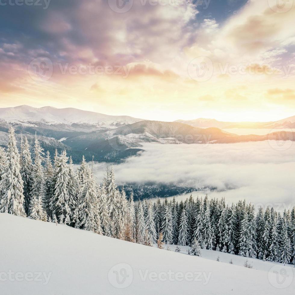 paysage d'hiver mystérieux montagnes majestueuses photo