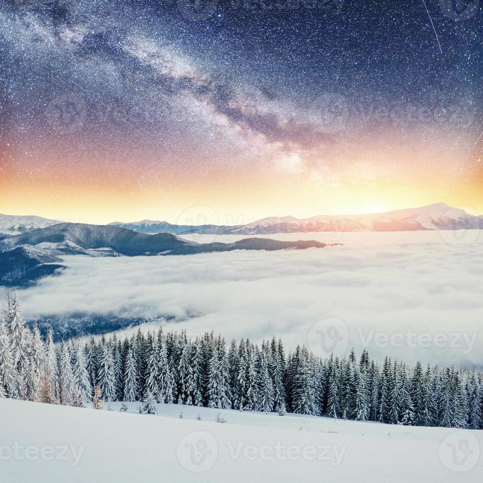 randonnée des étoiles laitières dans les bois d'hiver. photo