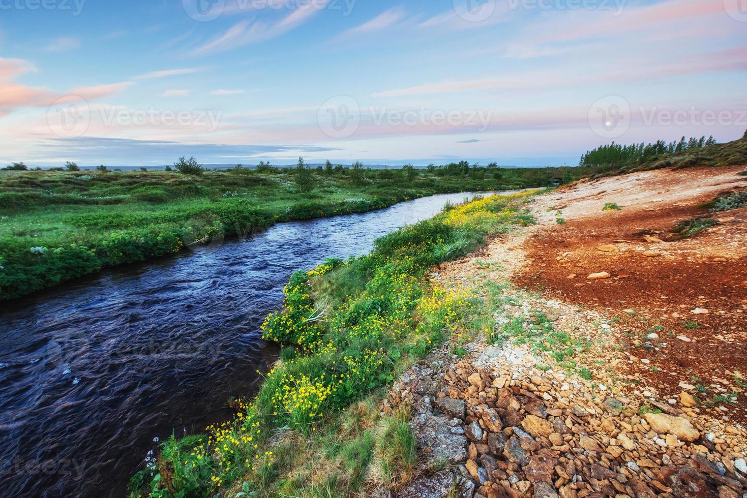 les paysages pittoresques de forêts et de montagnes islande photo