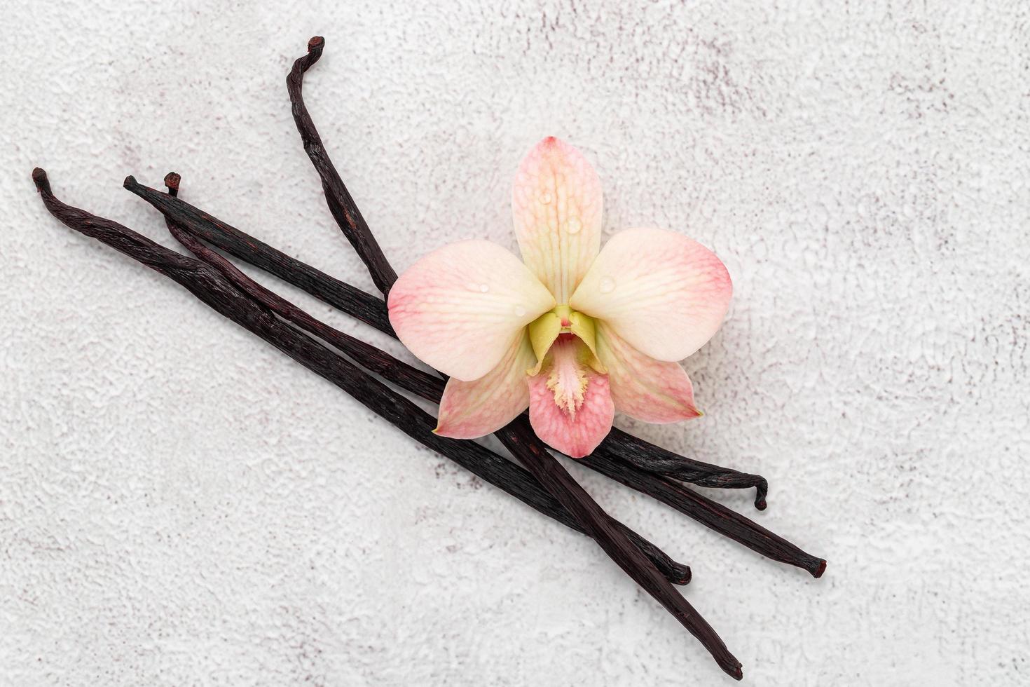 bâtonnets de vanille séchés et fleur d'orchidée mis en place sur fond de béton blanc. photo