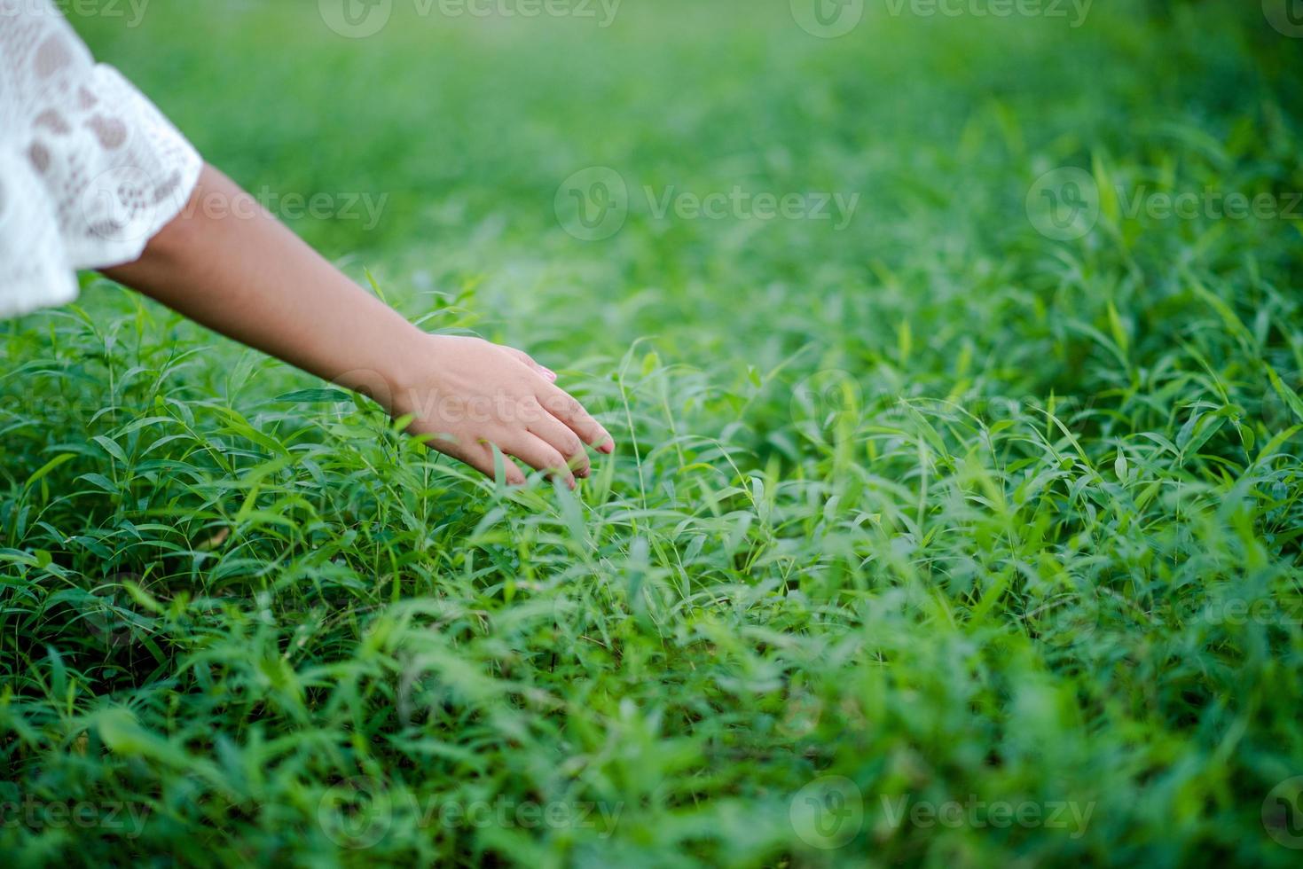 les mains et la nature aiment l'amour brillant doivent se donner de l'amour et de la beauté de manière naturelle. photo