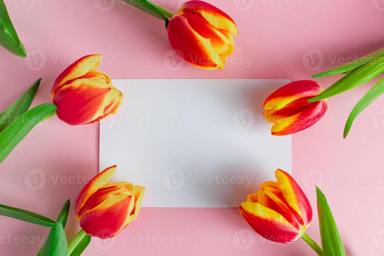 bouquet de tulipes fraîches et carte de voeux sur fond rose. photo