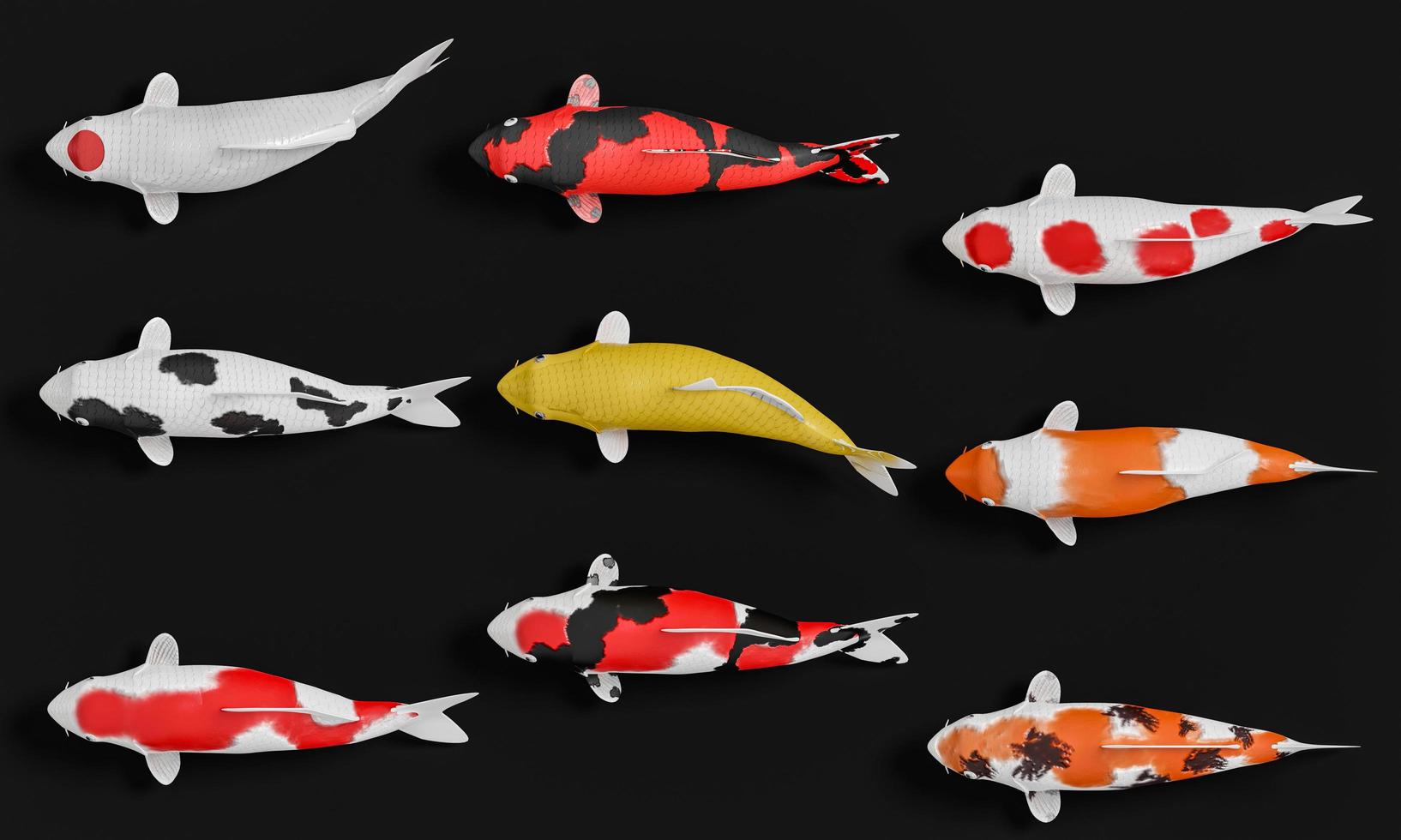 un groupe de poissons koi blancs à rayures rouges. merde fantaisie en or et orange en noir. rendu 3d photo