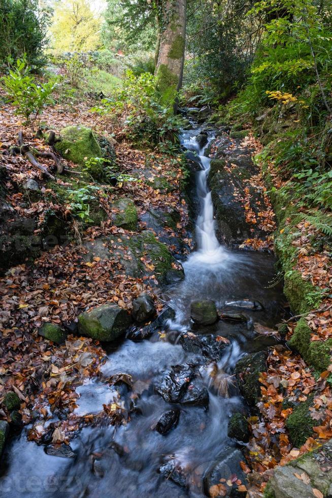 parc forestier de tollymore irlande du nord uk photo