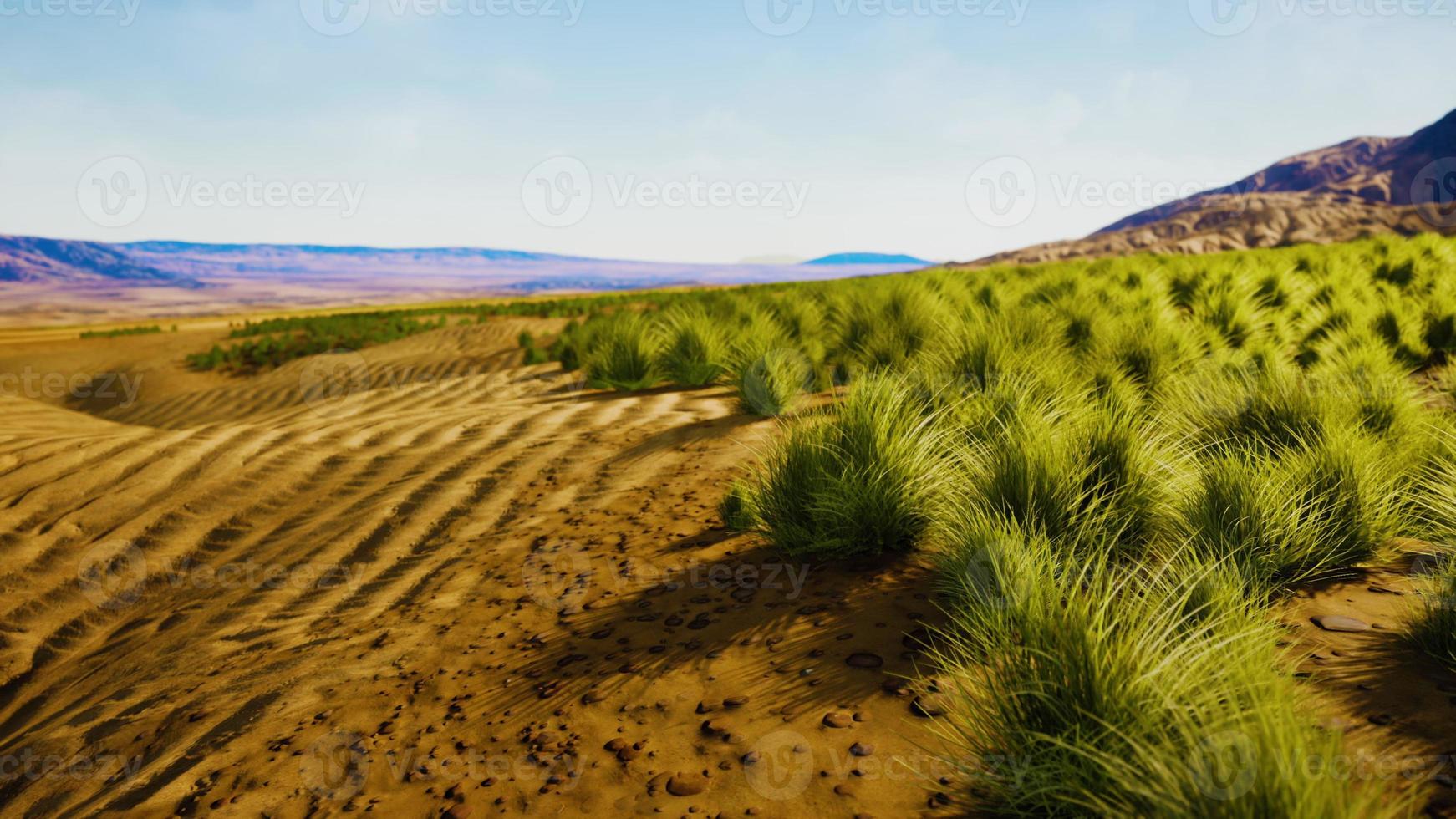 désert de pierre dans l'arrière-pays australien photo