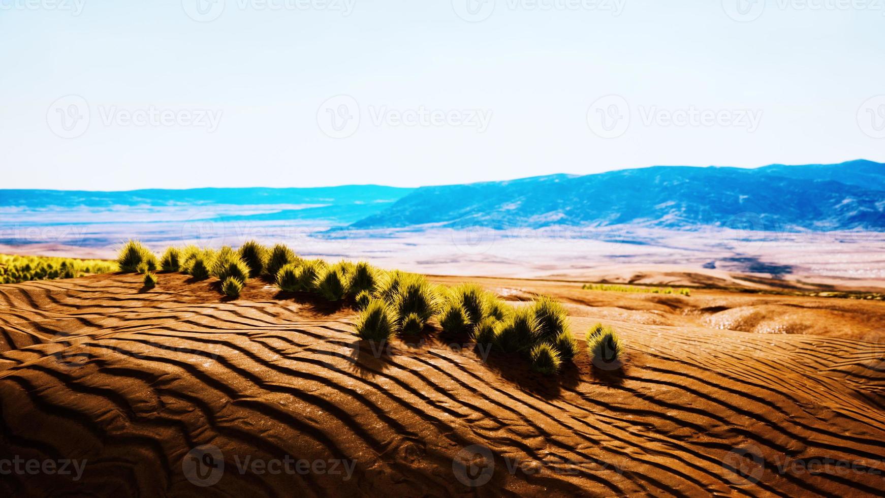 belle dune de sable orange jaune dans le désert d'asie centrale photo