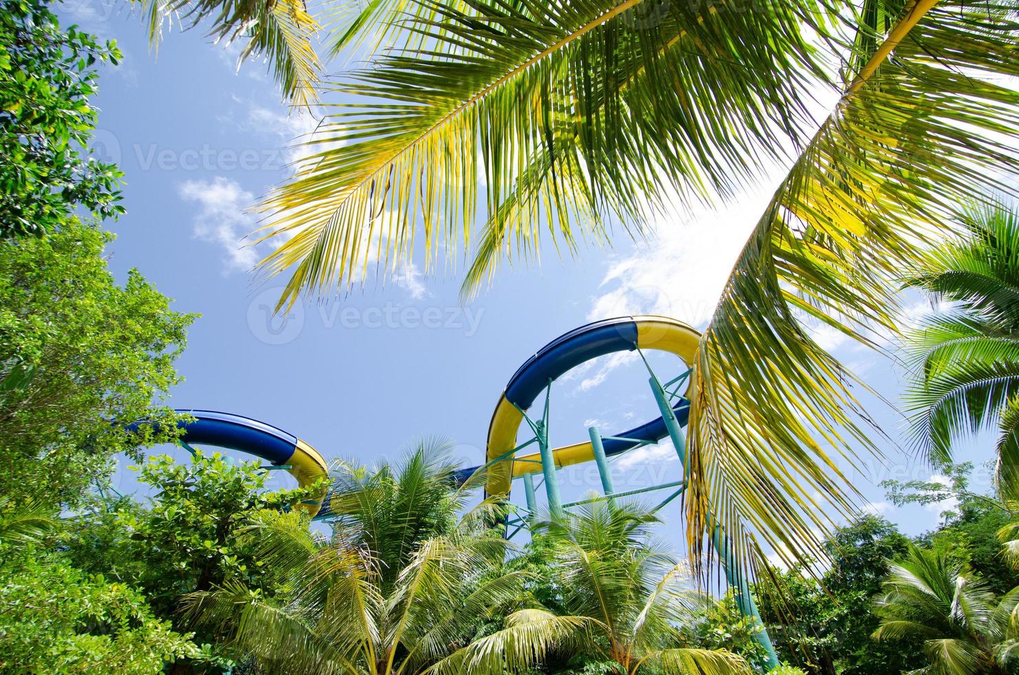 parc aquatique splash avec arbre vert du parc à thème escape, malaisie. photo