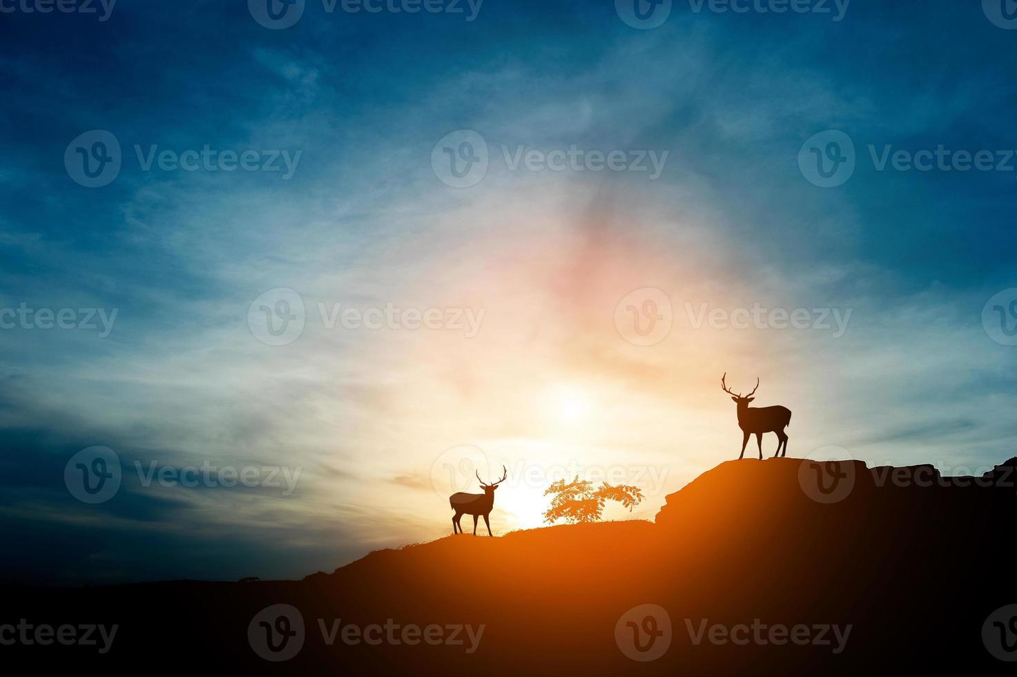 la silhouette de la montagne, le leadership d'équipe, le travail d'équipe et le travail d'équipe et le plaisir du concept de silhouette photo