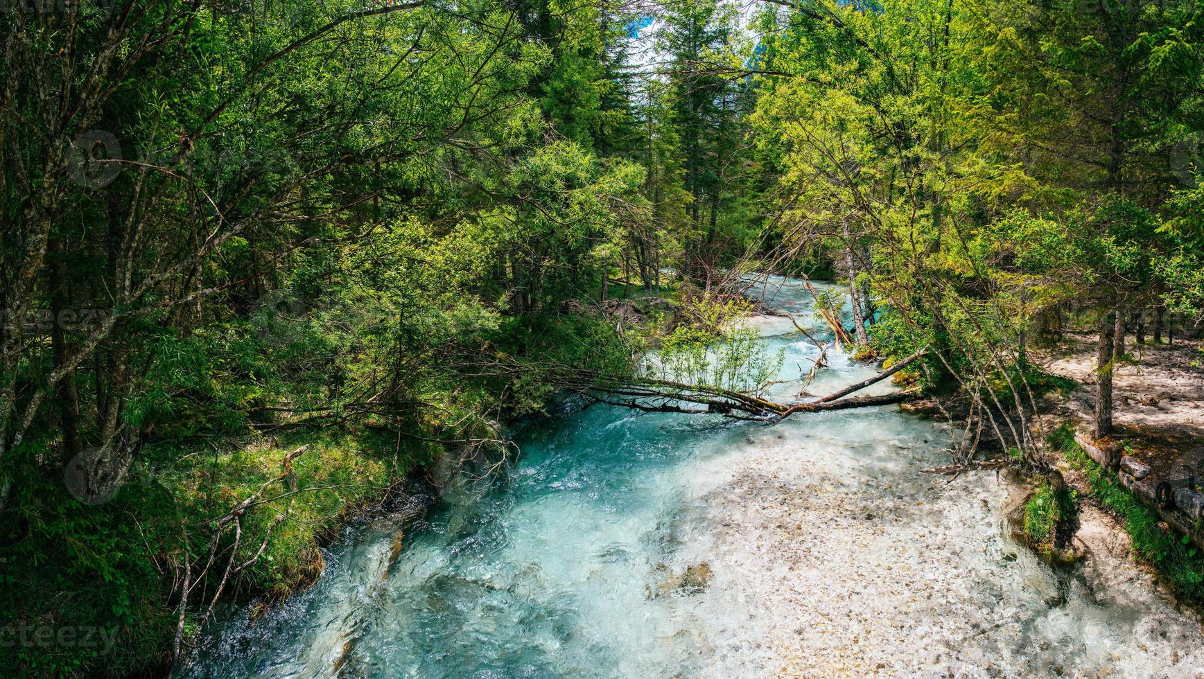 rivière rapide dans la forêt photo