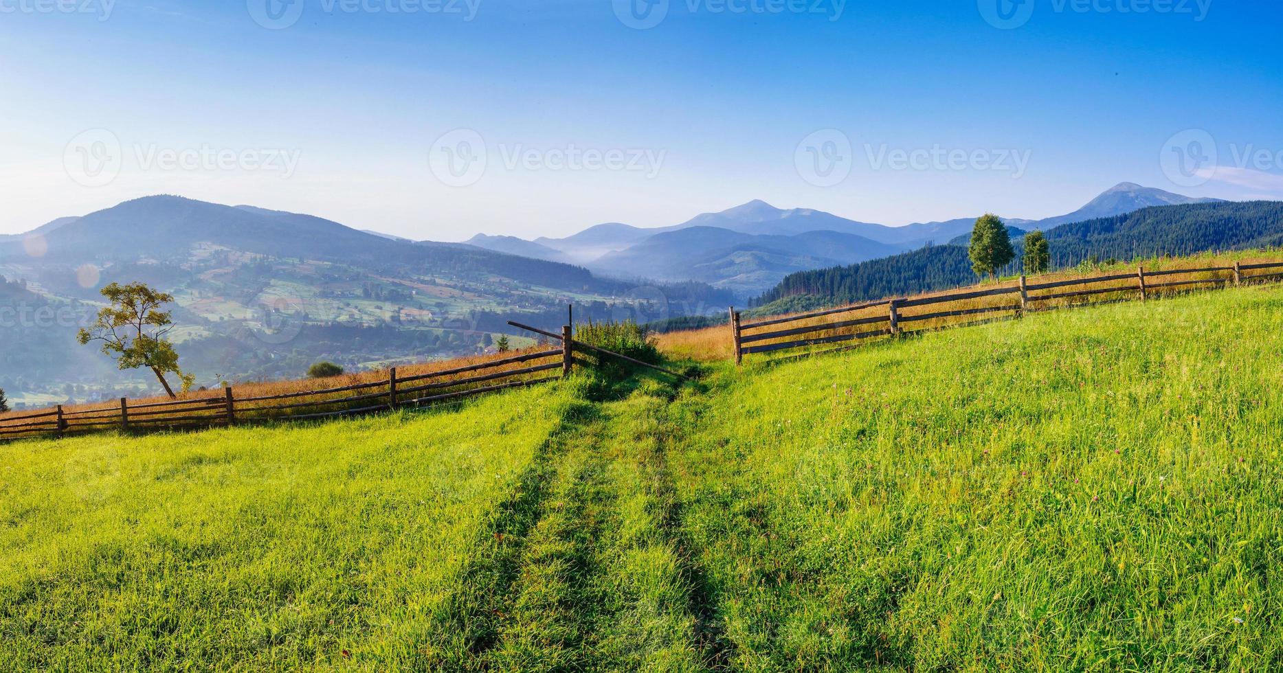 paysage d'été de montagne. herbe haute et ciel nuageux photo