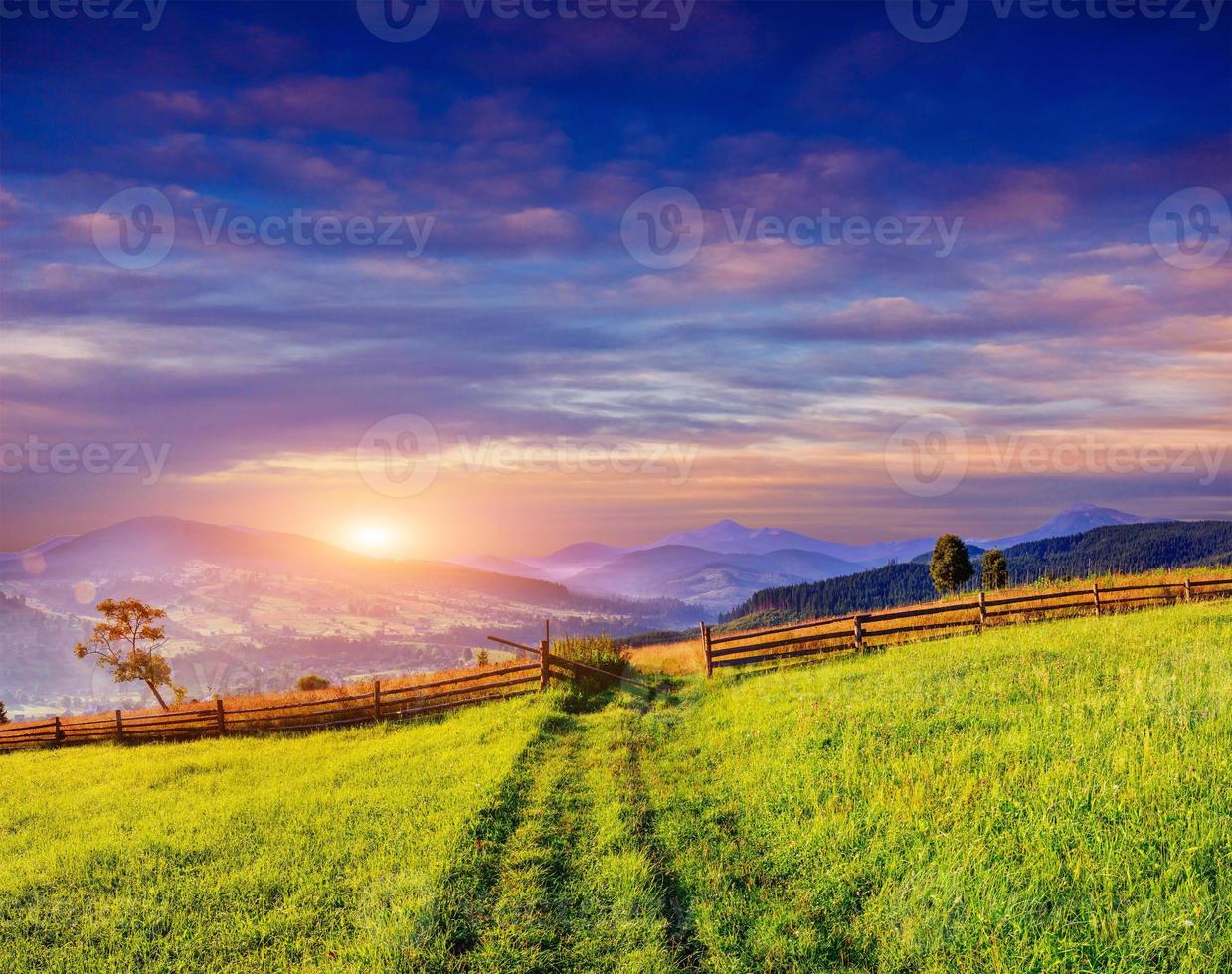 paysage d'été de montagne. herbe haute et ciel nuageux photo