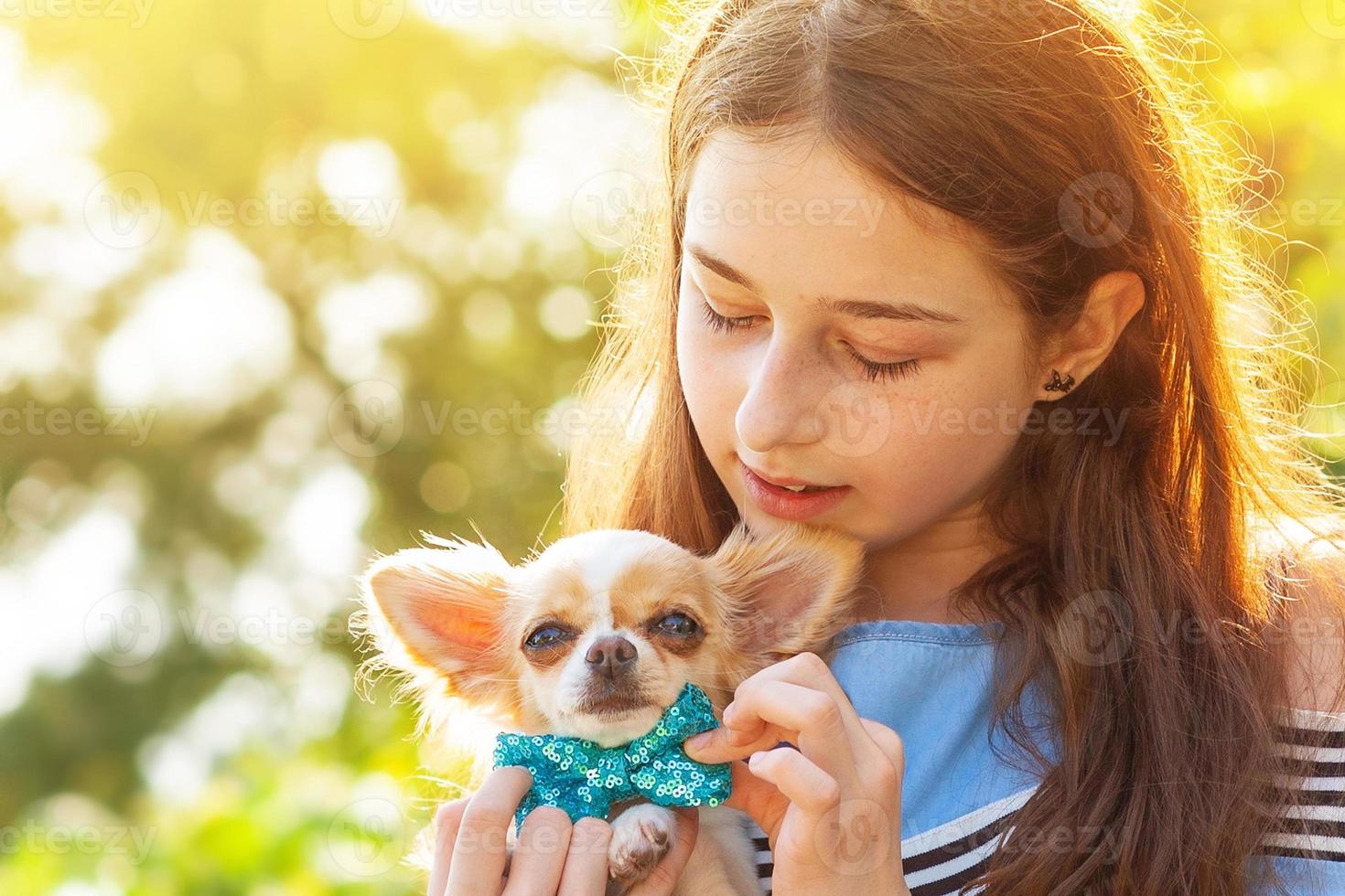 adolescente avec un chien chihuahua à poil long blanc. fille et animal de compagnie. photo