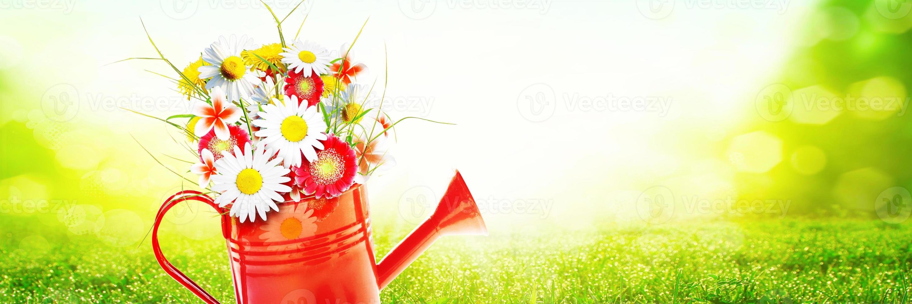 bouquet de fleurs sauvages colorées dans un arrosoir. concept de printemps et de jardinage. photo