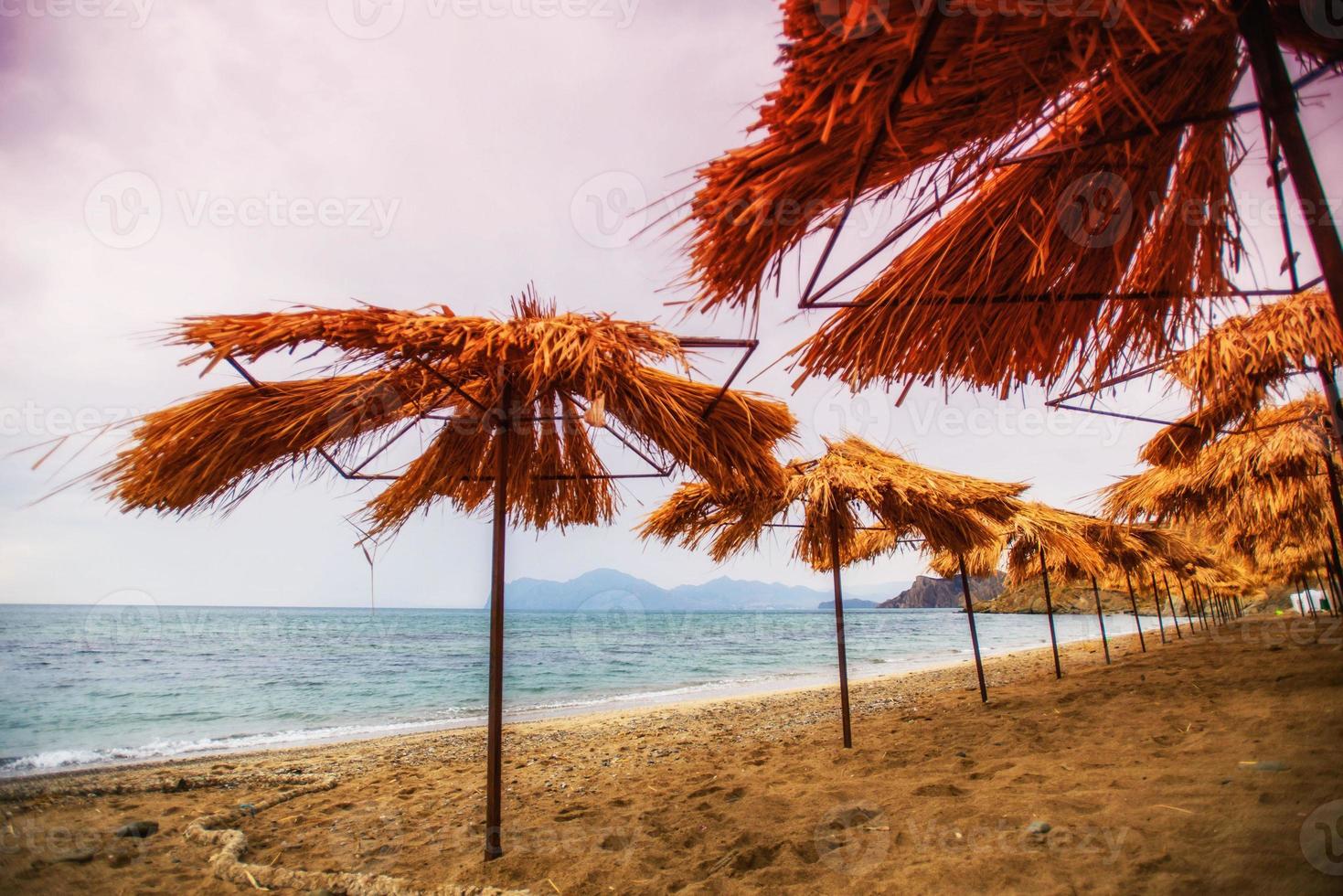 parasols sur la plage au bord de la mer photo