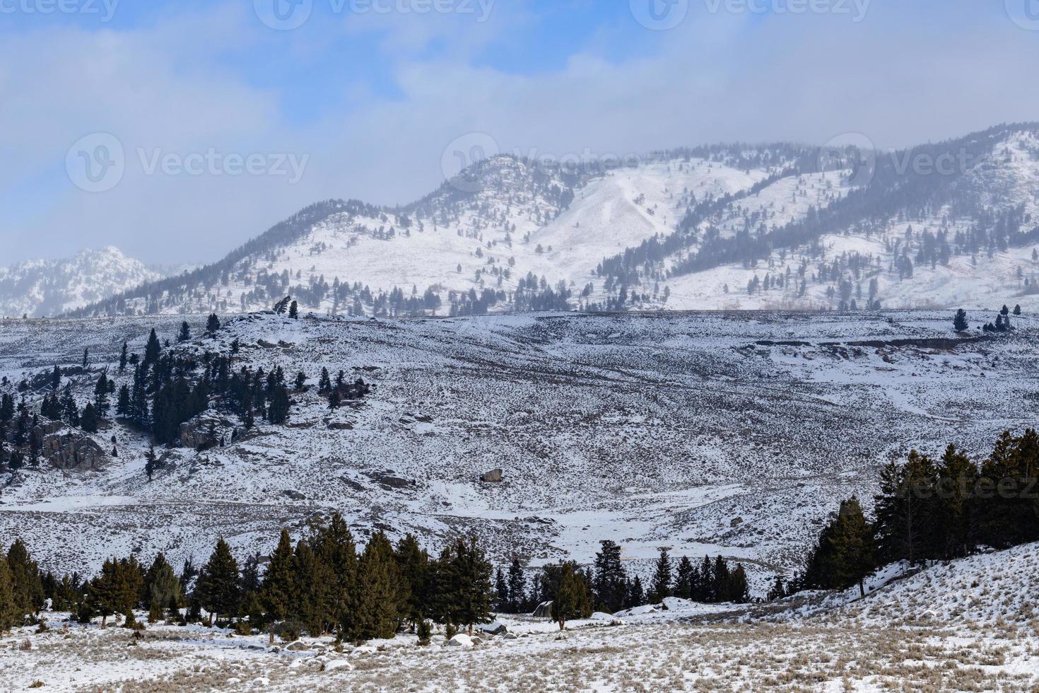 l'hiver dans la vallée de lamar du parc national de yellowstone. photo