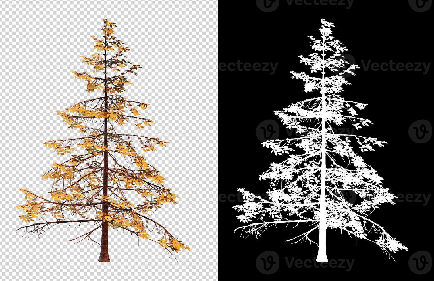 arbre de la saison d'automne sur fond transparent avec chemin de coupures photo