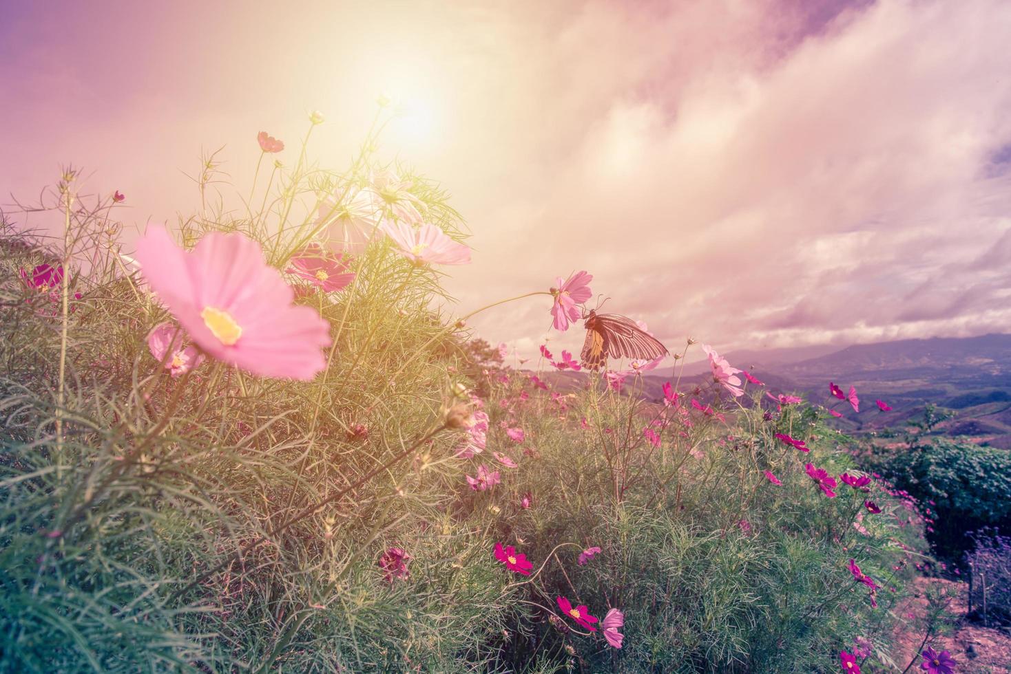 belle fleur et moulin à vent avec ciel bleu photo