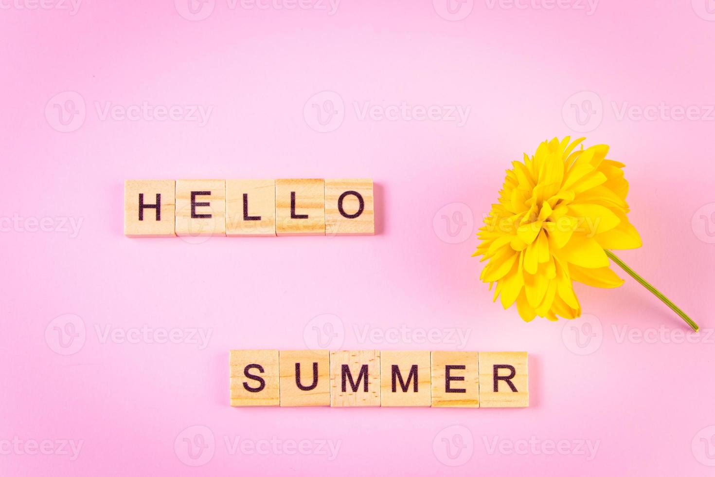 bonjour concept d'été. fleur jaune sur fond rose. photo
