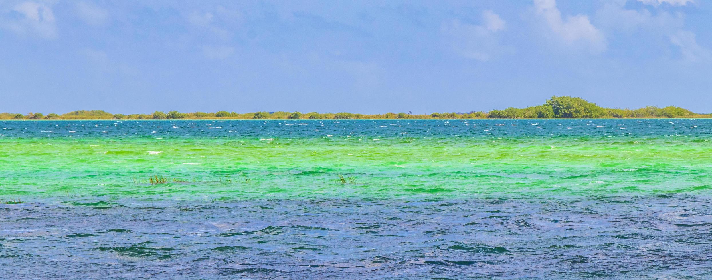 muyil lagon panorama vue paysage nature eau turquoise mexique. photo