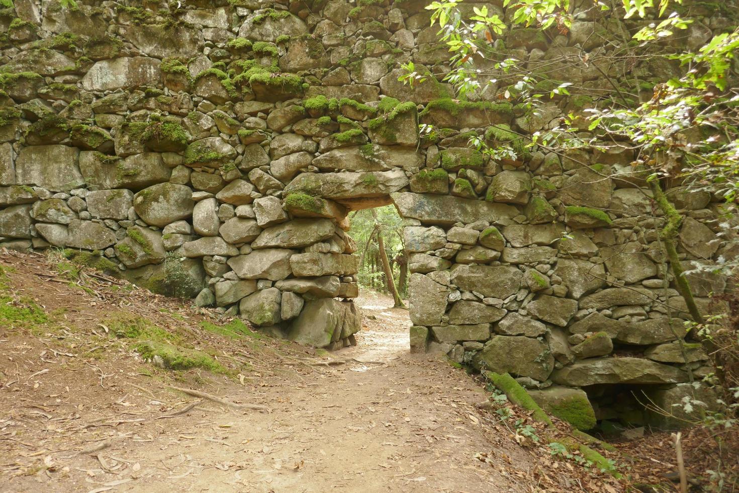 photos du bois enchanté à cangas, pontevedra