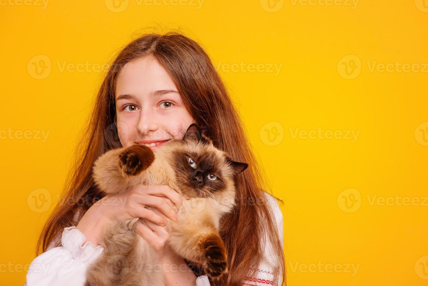 adolescente avec un chat dans ses bras. fille sur fond jaune. photo