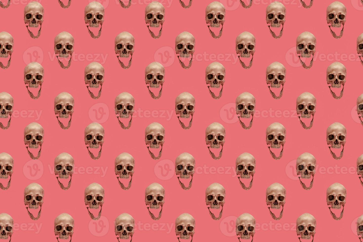 crâne avec mâchoire sur un motif transparent rose. photo