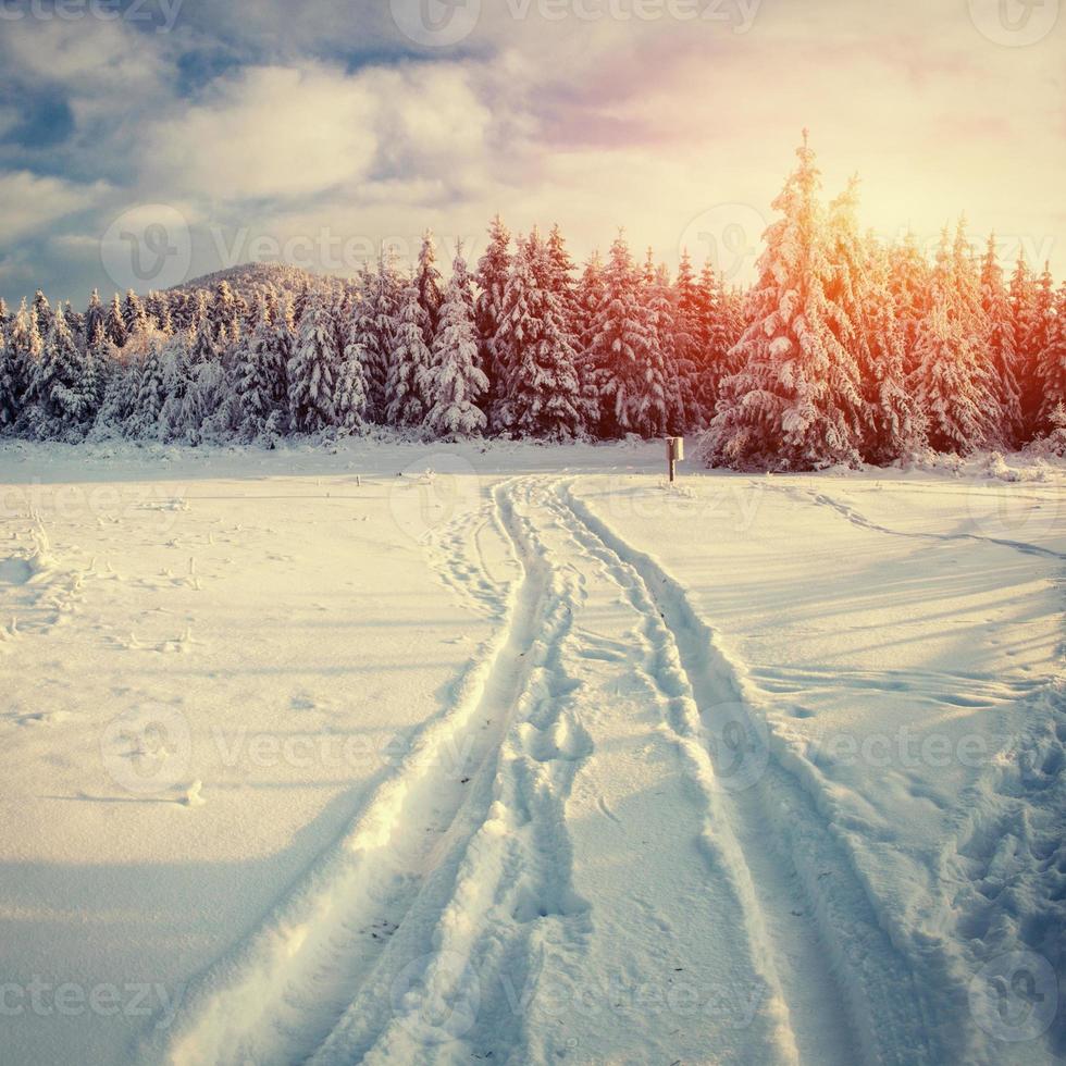 chemin d'hiver. paysage mystérieux photo