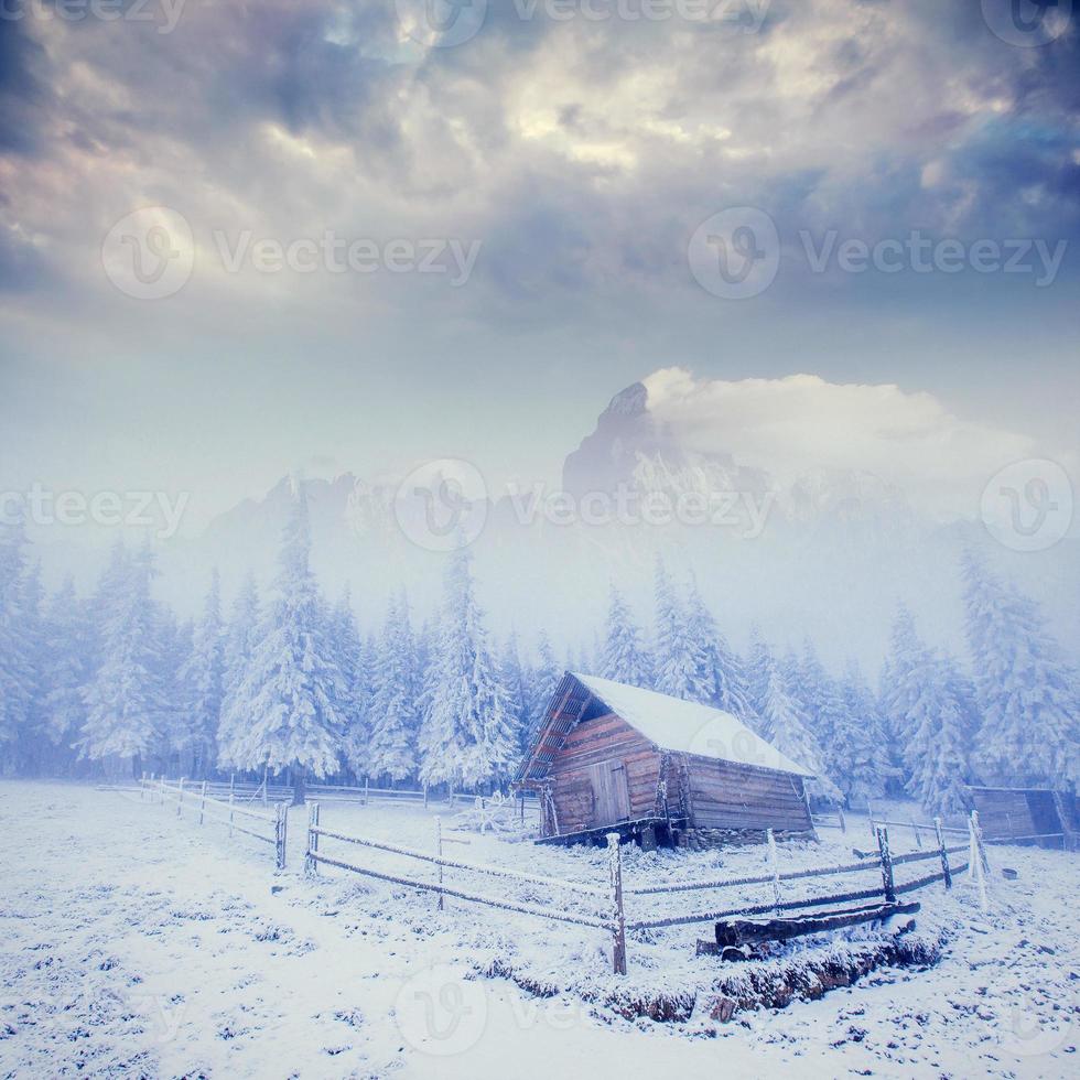cabane dans les montagnes en hiver photo