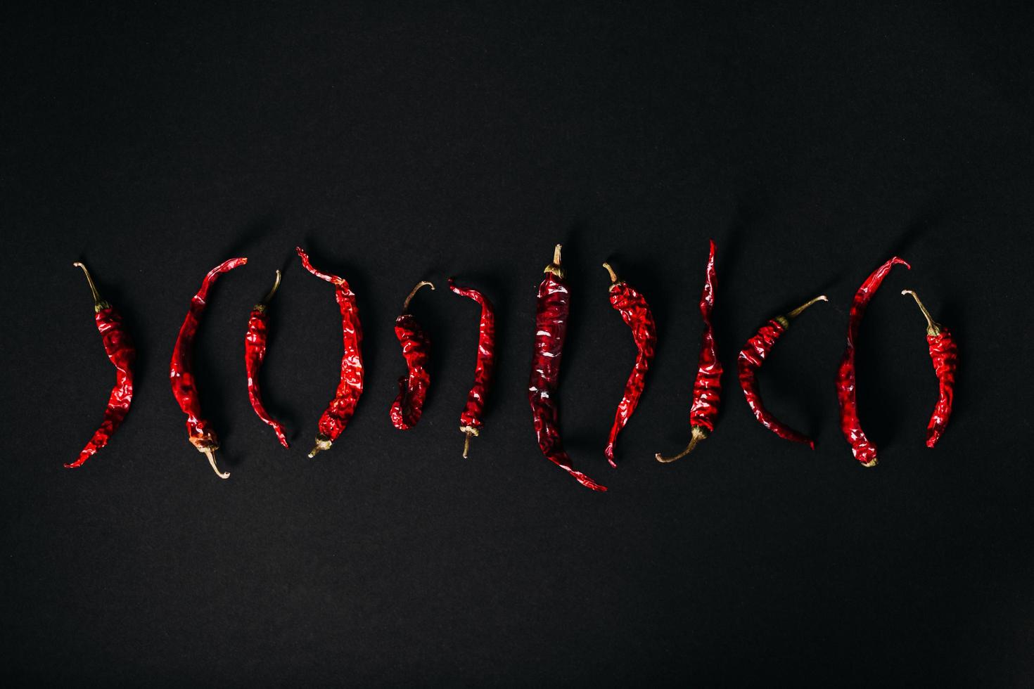 piments rouges épicés secs et poudre photo