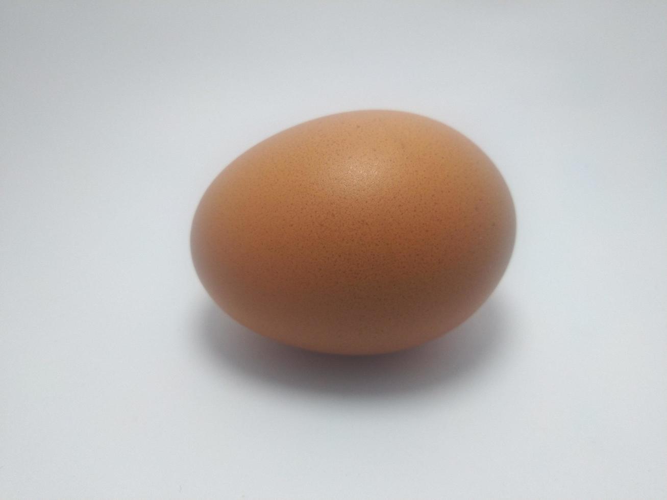 oeuf de poule isolé sur fond blanc photo