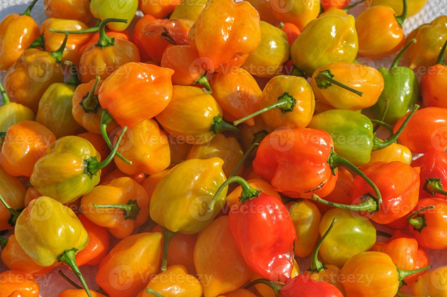 légumes poivrons rouges photo