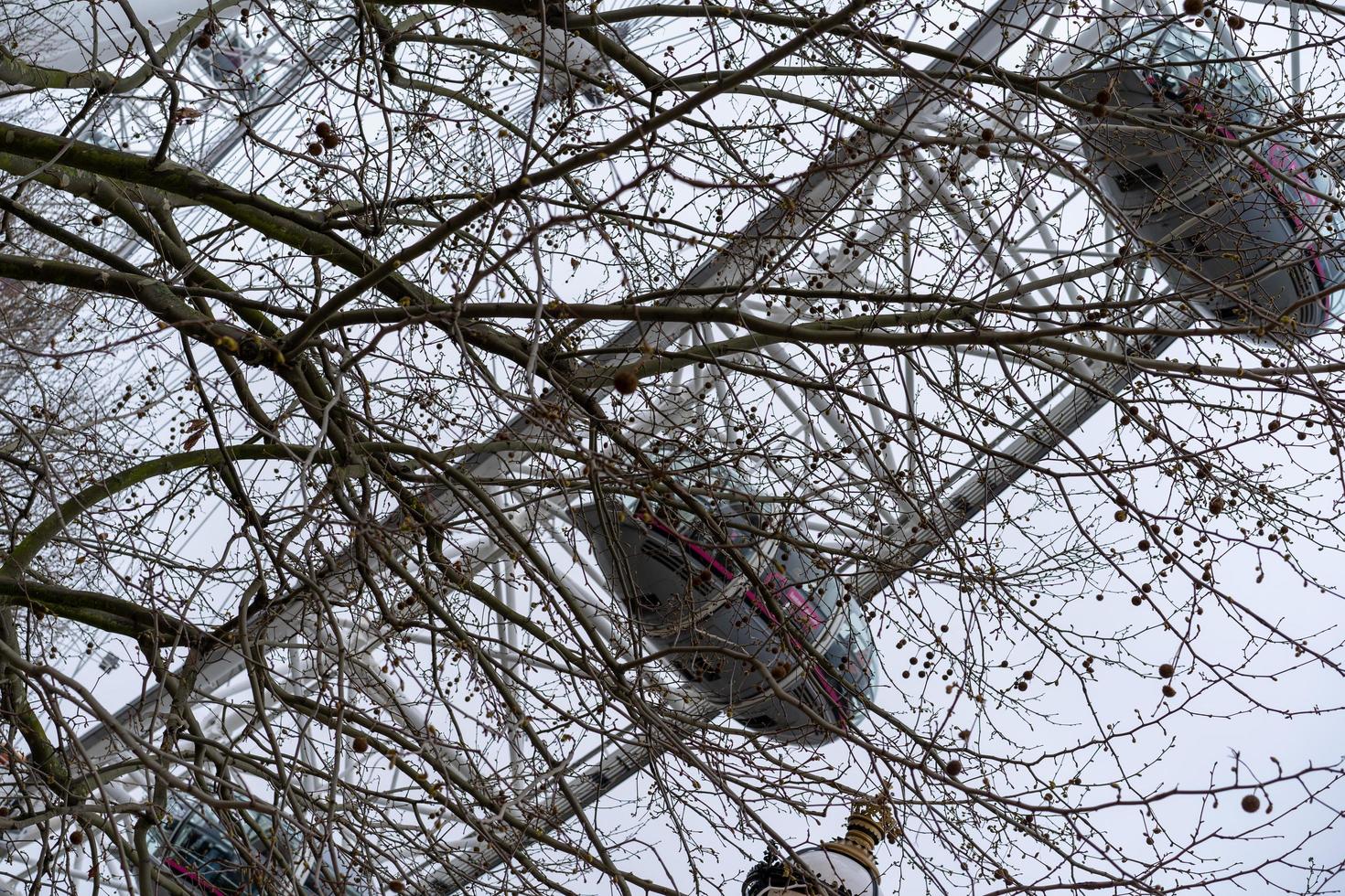 London eye derrière des arbres nus photo