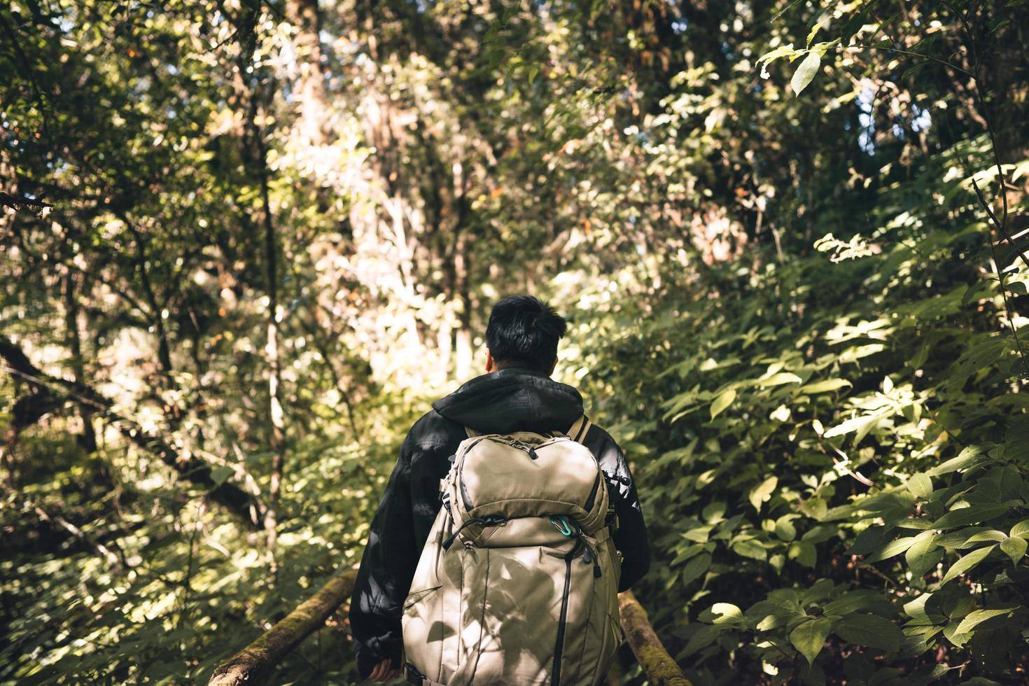 sac à dos photographe mâle adulte voyageant dans la forêt. photo