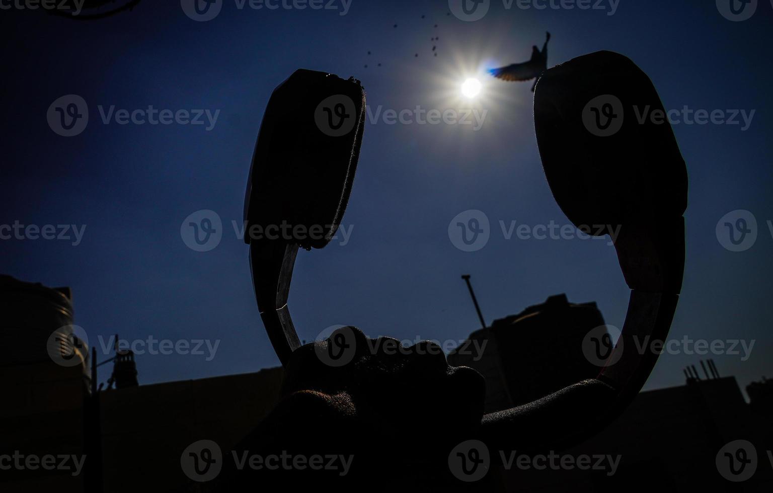 images de lumière parasite du soleil et un oiseau vole au-dessus du casque photo