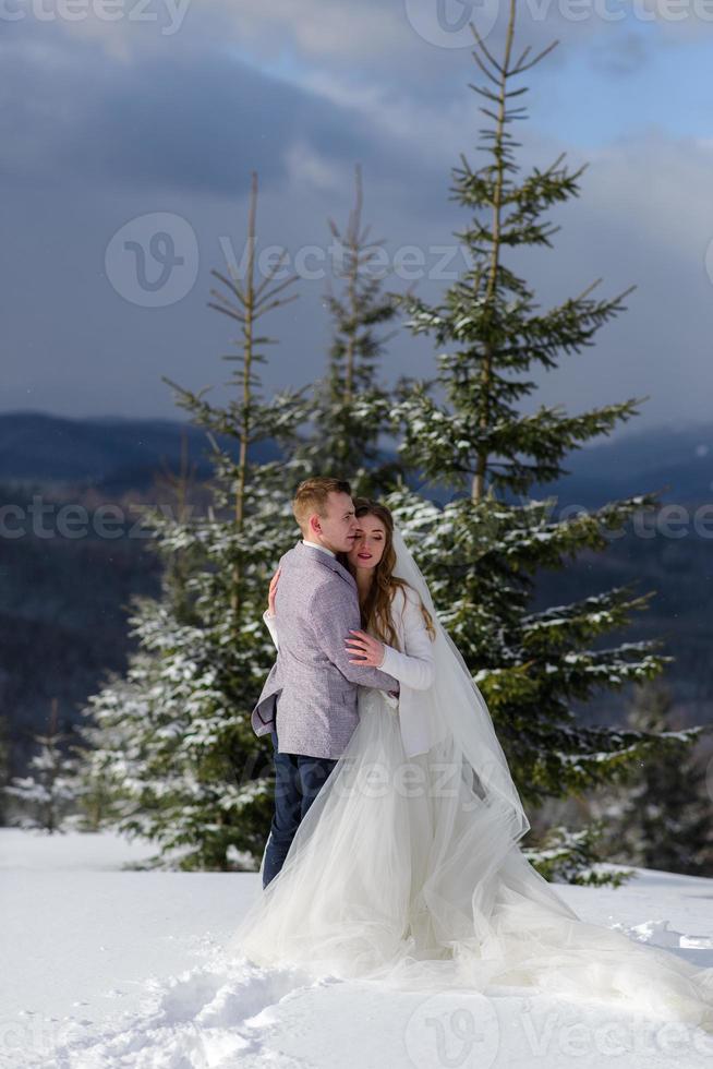 le marié conduit sa fiancée par la main jusqu'à un vieux hêtre solitaire. mariage d'hiver. place pour un logo. photo