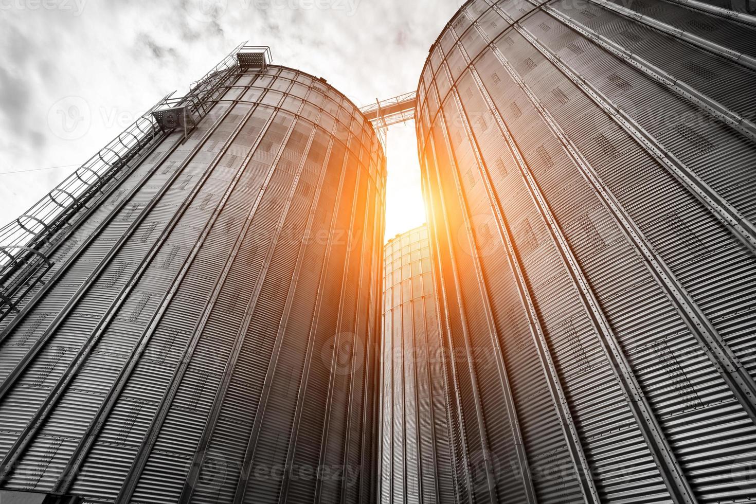 silos agricoles en ontario, canada photo