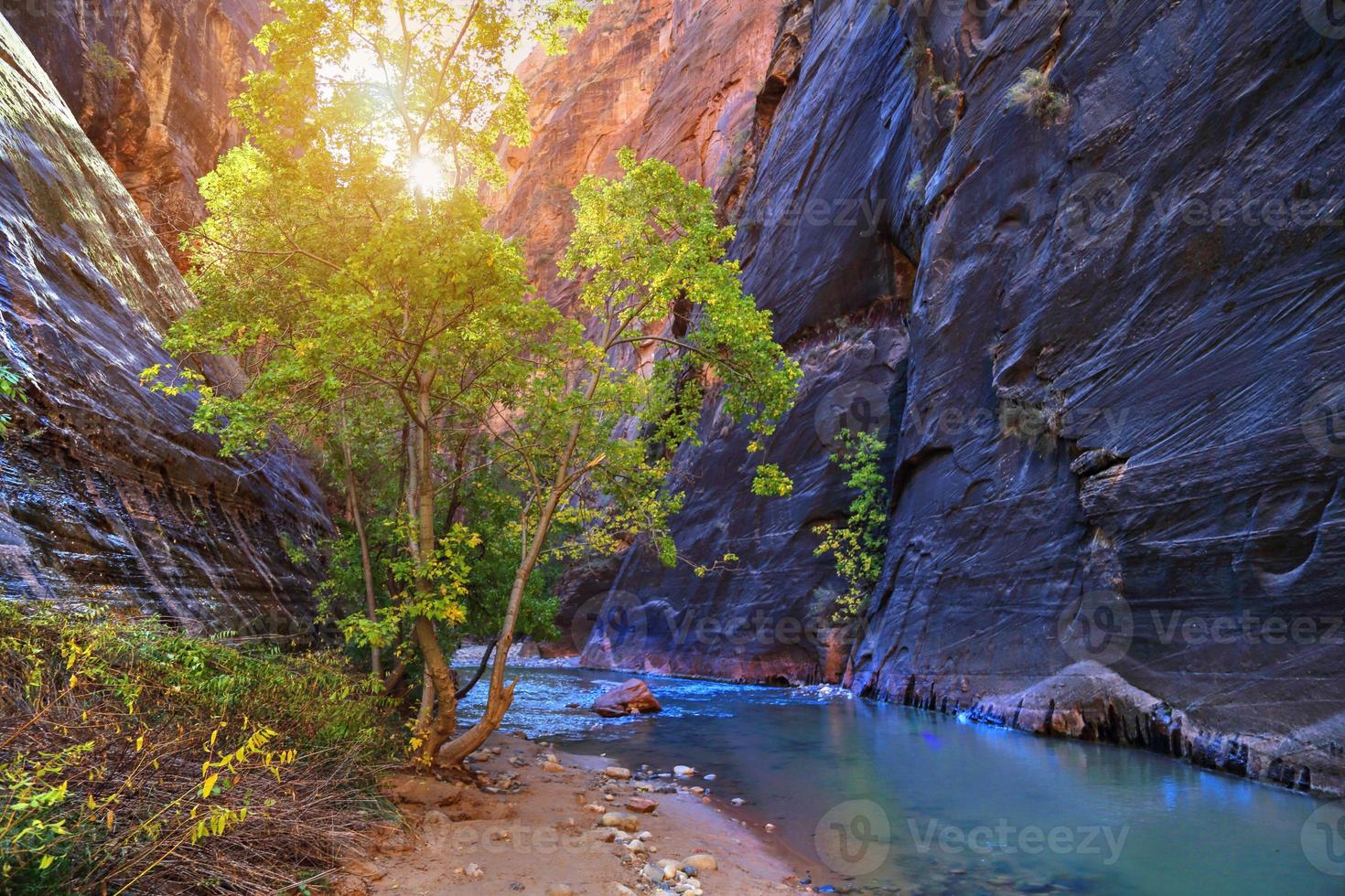 pittoresque parc de zion paysages pittoresques au coucher du soleil photo