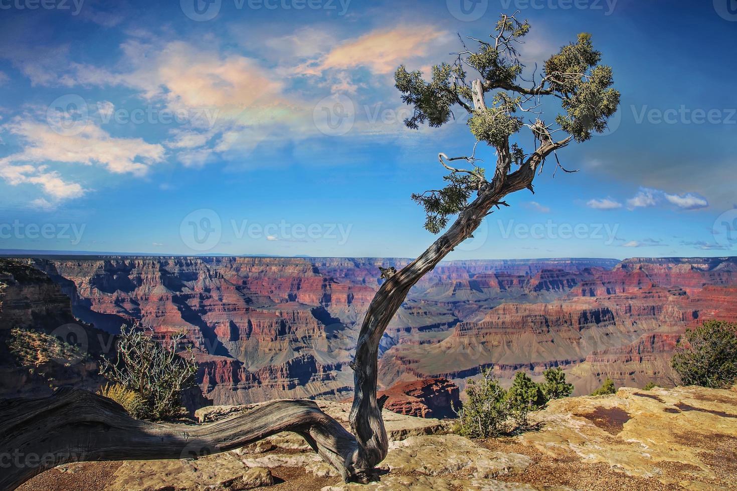 vues panoramiques et paysages du grand canyon photo