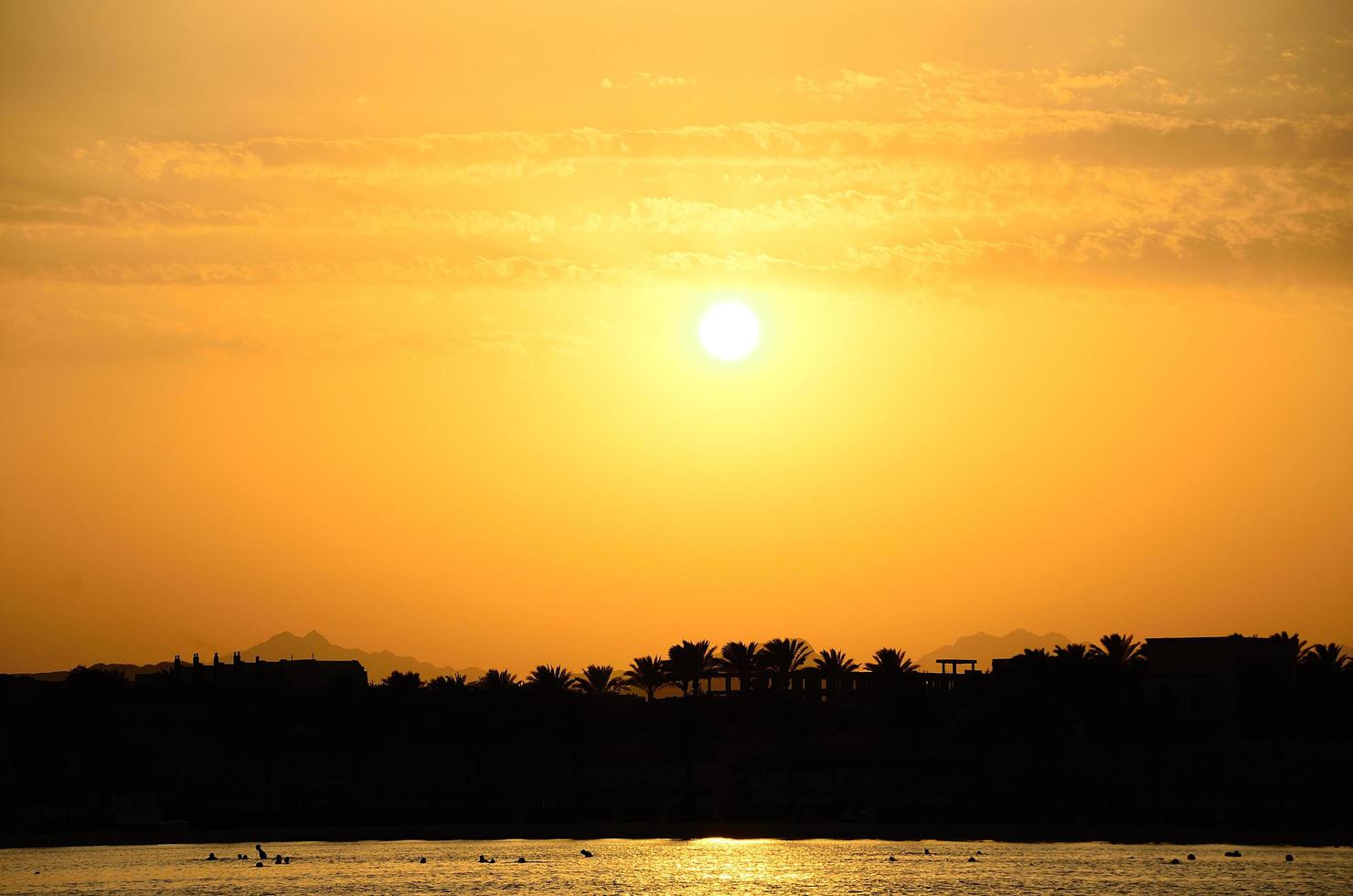 coucher de soleil avec des palmiers au bord de la mer photo