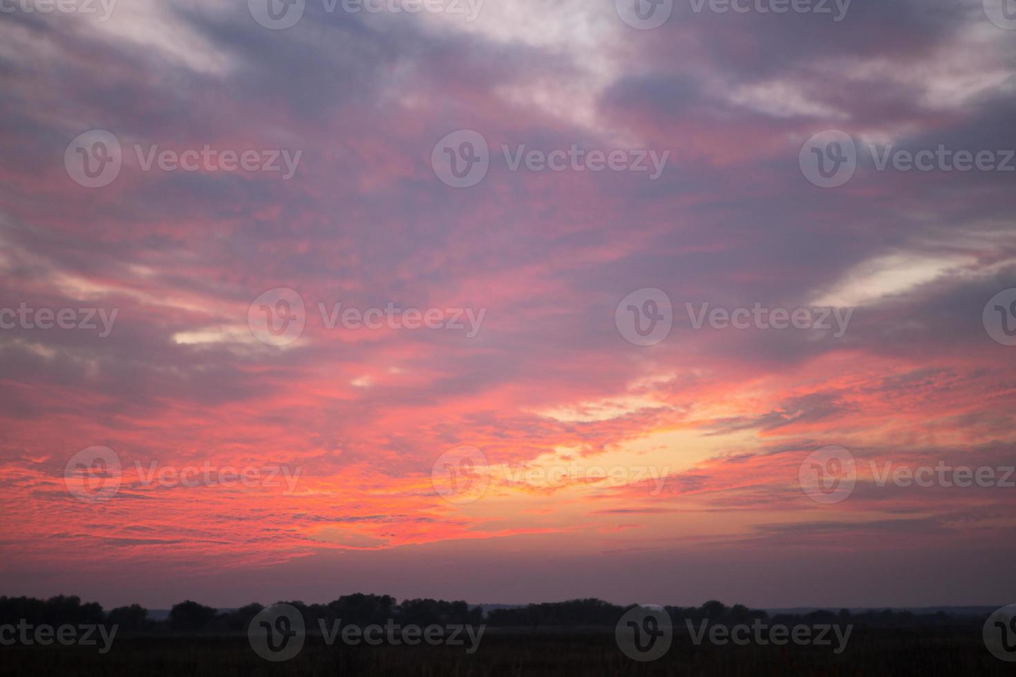 coucher de soleil rose-violet dans le ciel, nuages. heure d'été. arrière-plan, fond photo