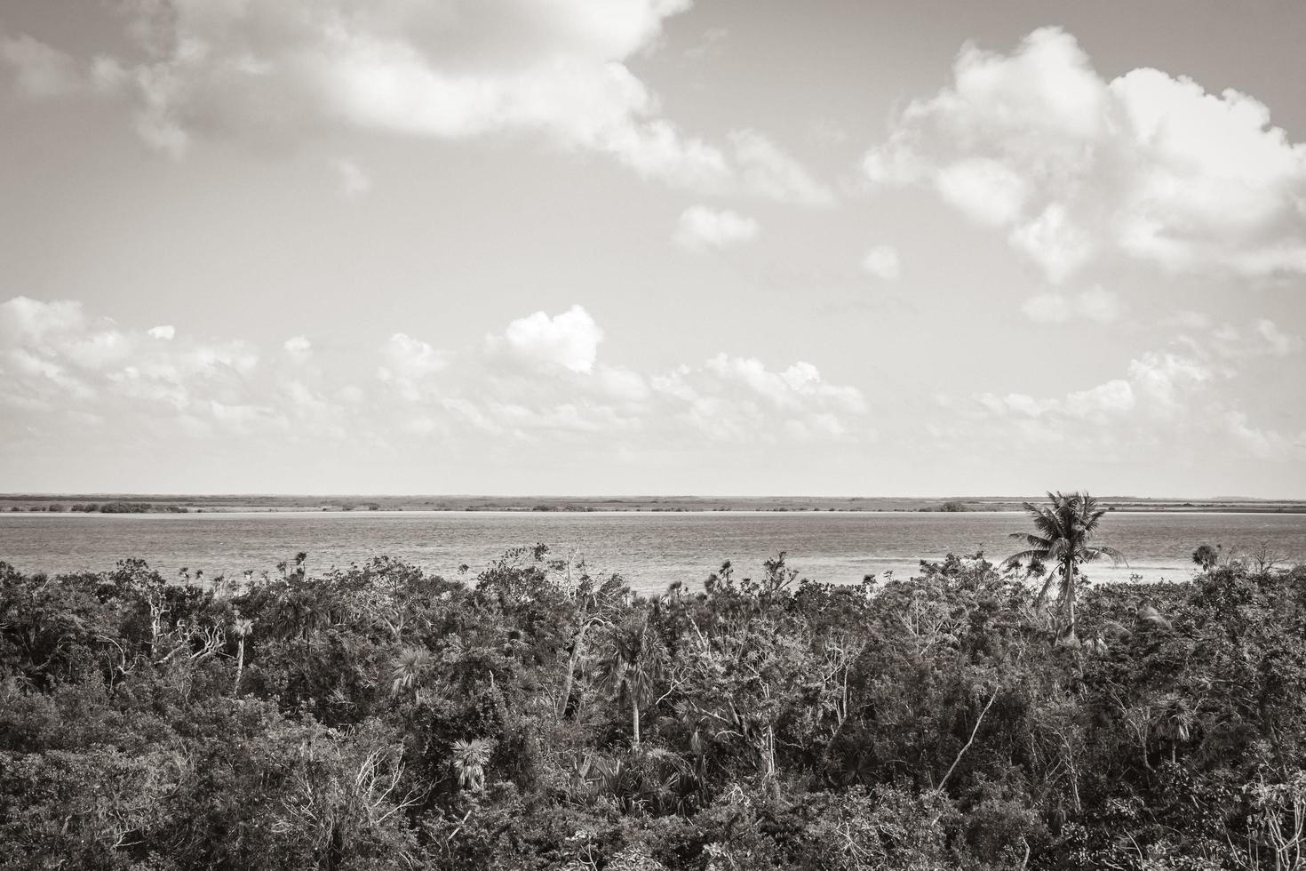 vue panoramique sur le lagon de muyil dans la jungle tropicale de l'incroyable mexique. photo