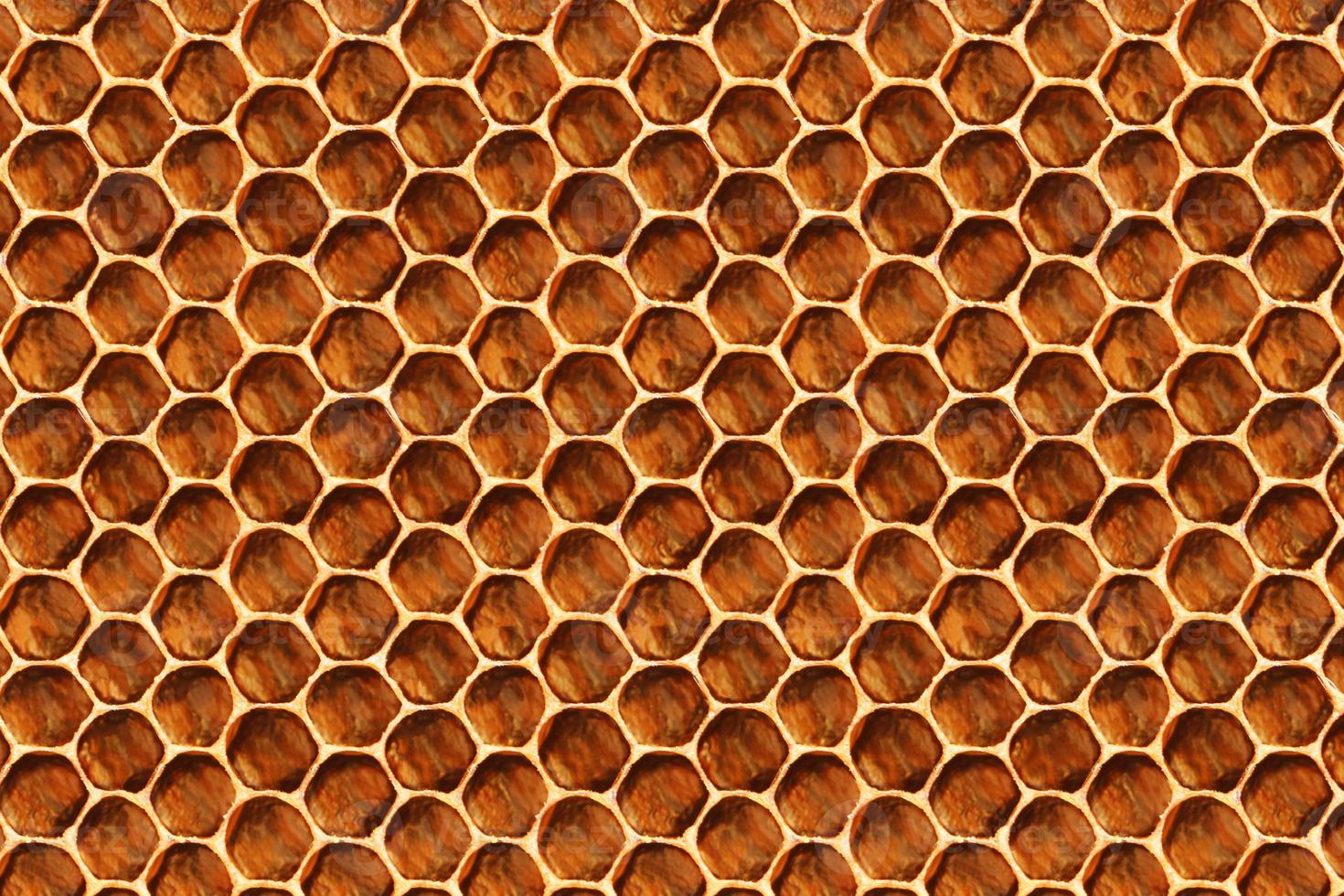 motif en nid d'abeille pour le fond et la texture. notion d'apiculture. photo