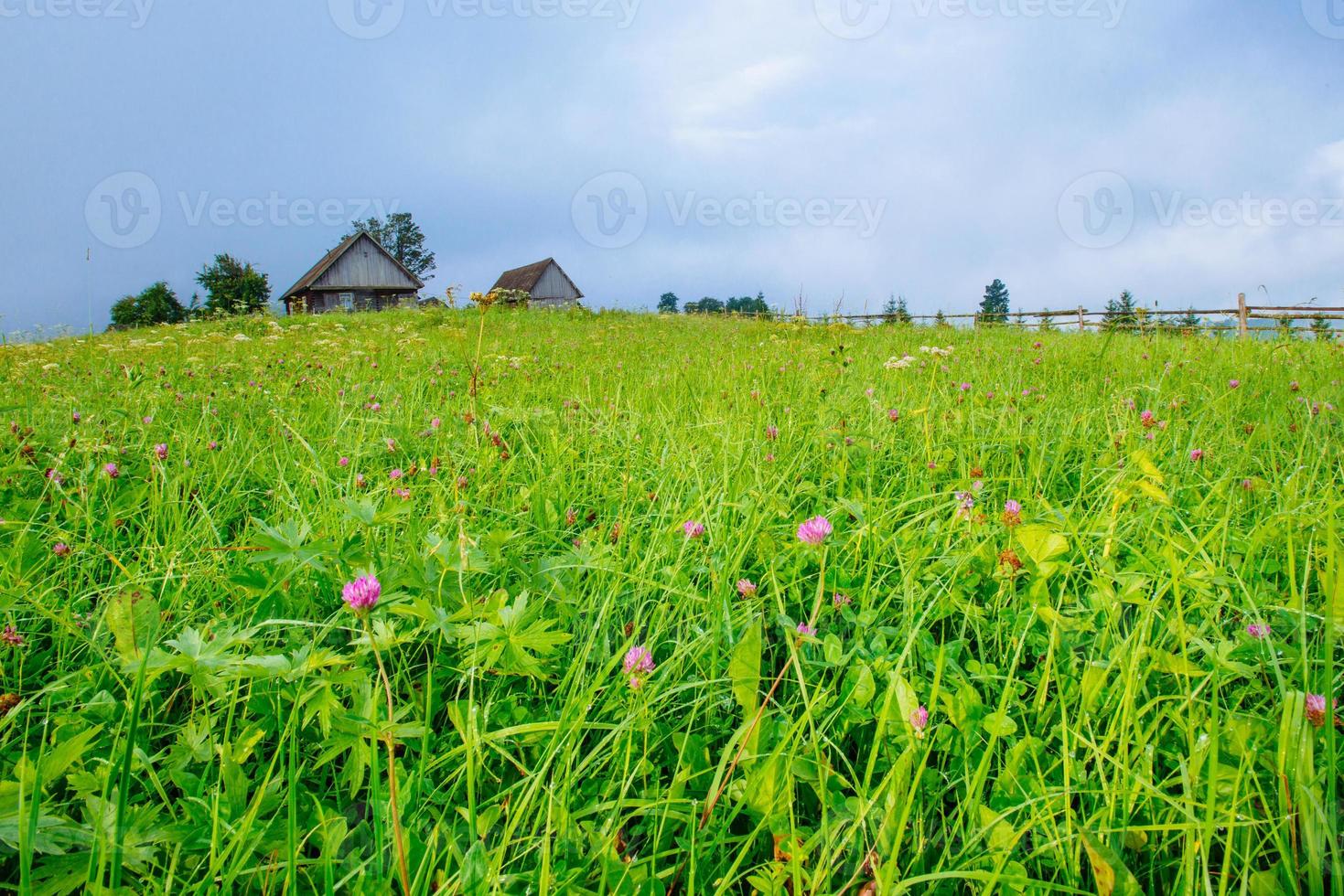 champ d'herbe dans les montagnes photo